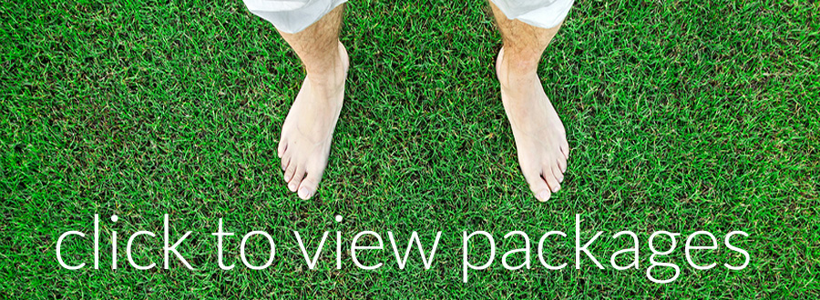 barefoot-bowls-packages